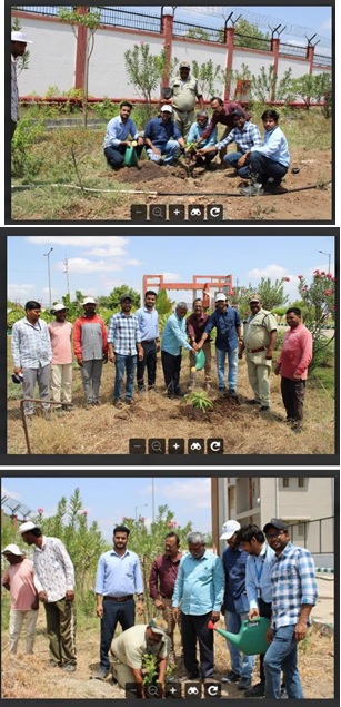 Green initiative of tree sapling plantation at RTL, CPRI, Nashik 